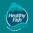 Healthy Fish Healthy Fish