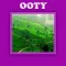 Ooty Offline Travel Guide