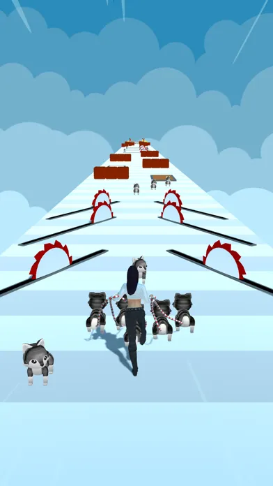 Captures d'écran de Dogs Run 3D