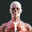 Human Anatomy 4D-Mixed Reality Human Anatomy 4D-Mixed Reality
