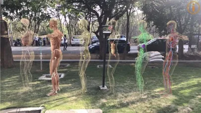 Human Anatomy 4D-Mixed Reality স্ক্রিনশট