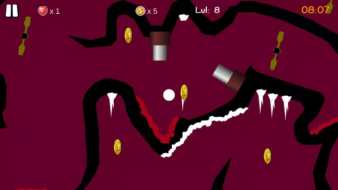 Balls Maze স্ক্রিনশট