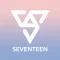 SEVENTEEN LIGHT STICK