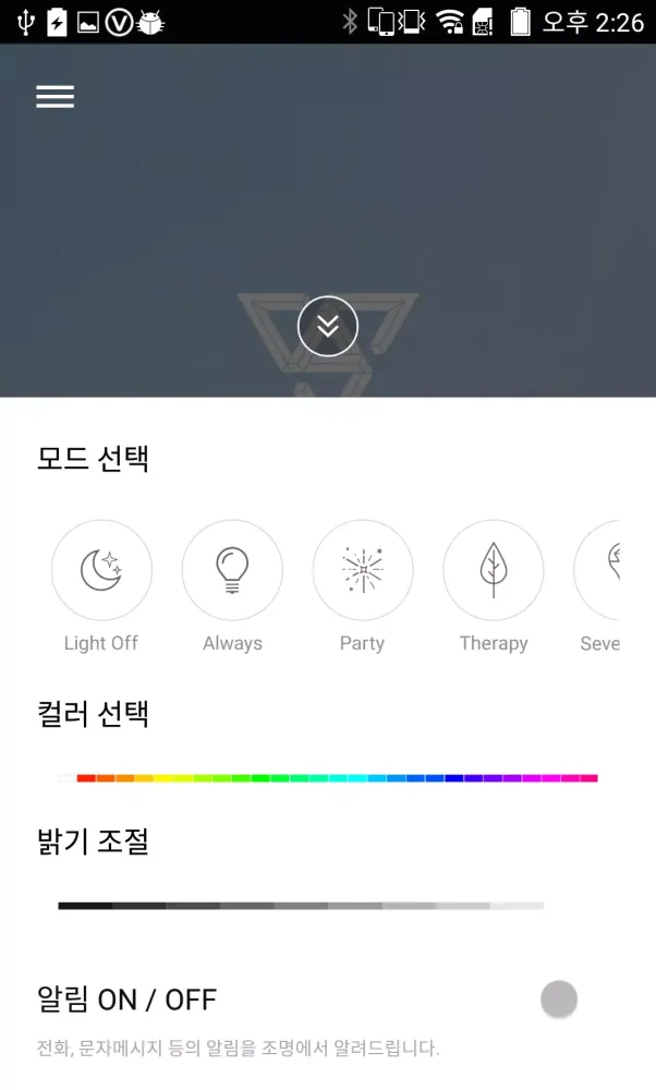 SEVENTEEN LIGHT STICK スクリーンショット