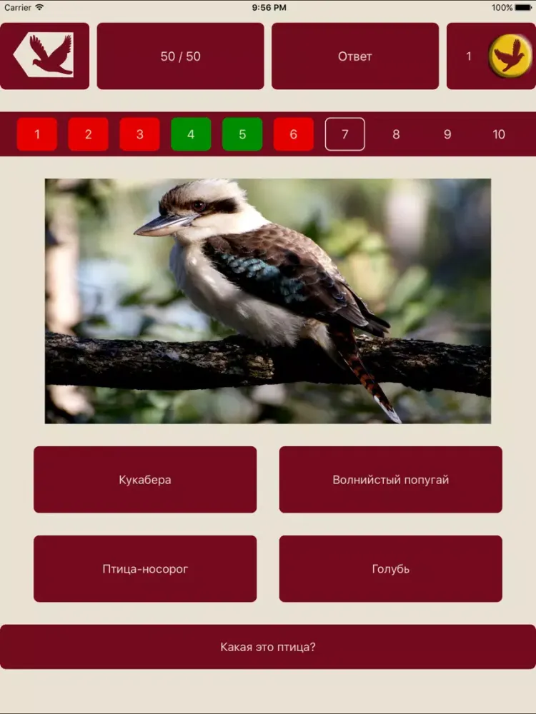 Угадай птицу iPad  স্ক্রিনশট