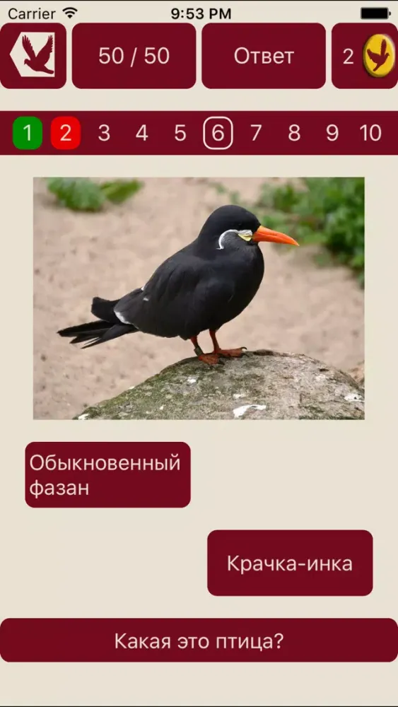 Угадай птицу স্ক্রিনশট