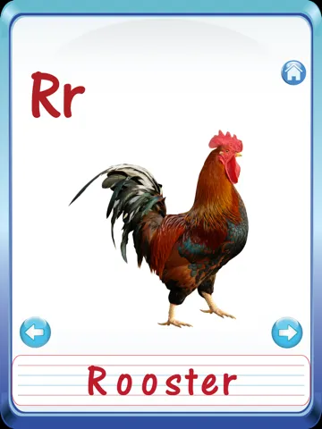 Baby Animals & Birds English ABC Alphabets Flash Cards for preschool kindergarten boys & girls apps iPad  스크린샷