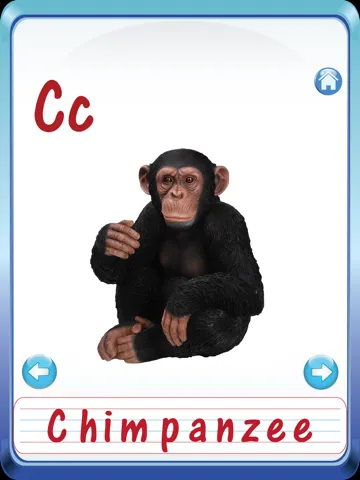 Baby Animals & Birds English ABC Alphabets Flash Cards for preschool kindergarten boys & girls apps iPad  스크린샷