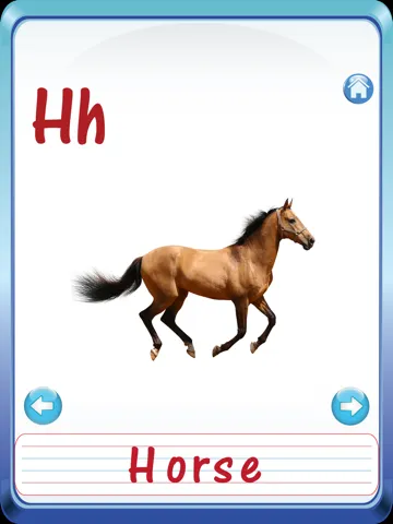Baby Animals & Birds English ABC Alphabets Flash Cards for preschool kindergarten boys & girls apps iPad  스크린샷
