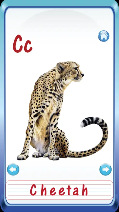 Baby Animals & Birds English ABC Alphabets Flash Cards for preschool kindergarten boys & girls apps 스크린샷