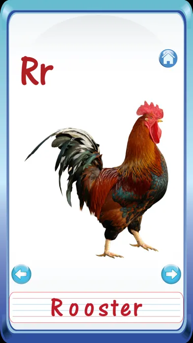 Baby Animals & Birds English ABC Alphabets Flash Cards for preschool kindergarten boys & girls apps 스크린샷