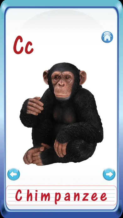 Baby Animals & Birds English ABC Alphabets Flash Cards for preschool kindergarten boys & girls apps 스크린샷