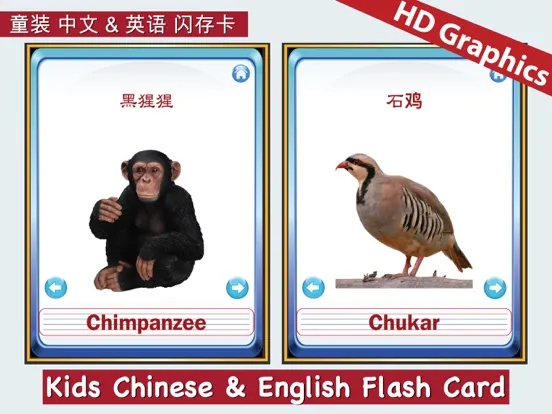 Kids Chinese & English Flash Cards ABC iPad 应用截图