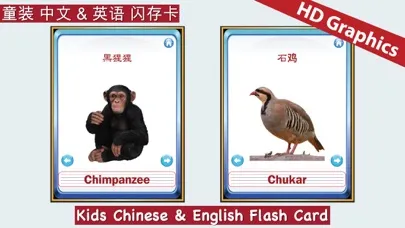 Kids Chinese & English Flash Cards ABC应用截图