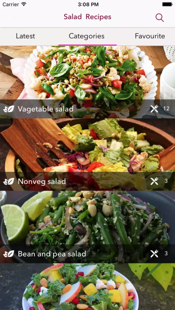 Tangkapan skrin Salad Recipes For Diet