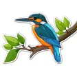 Birds Life Stickers Pack
