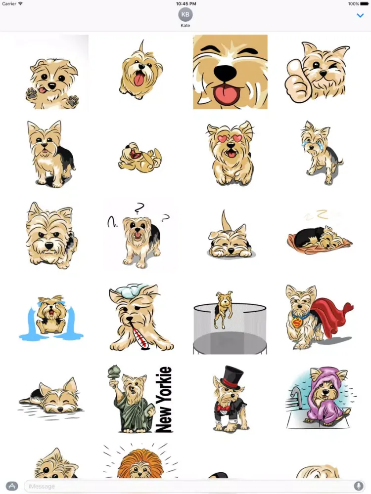Archie the Yorkie iPad  Screenshots