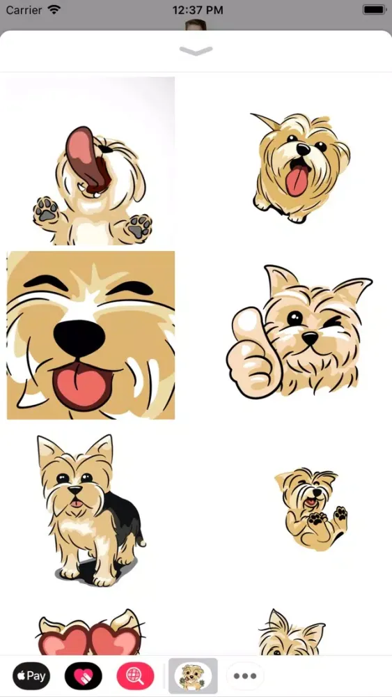 Archie the Yorkie Screenshots