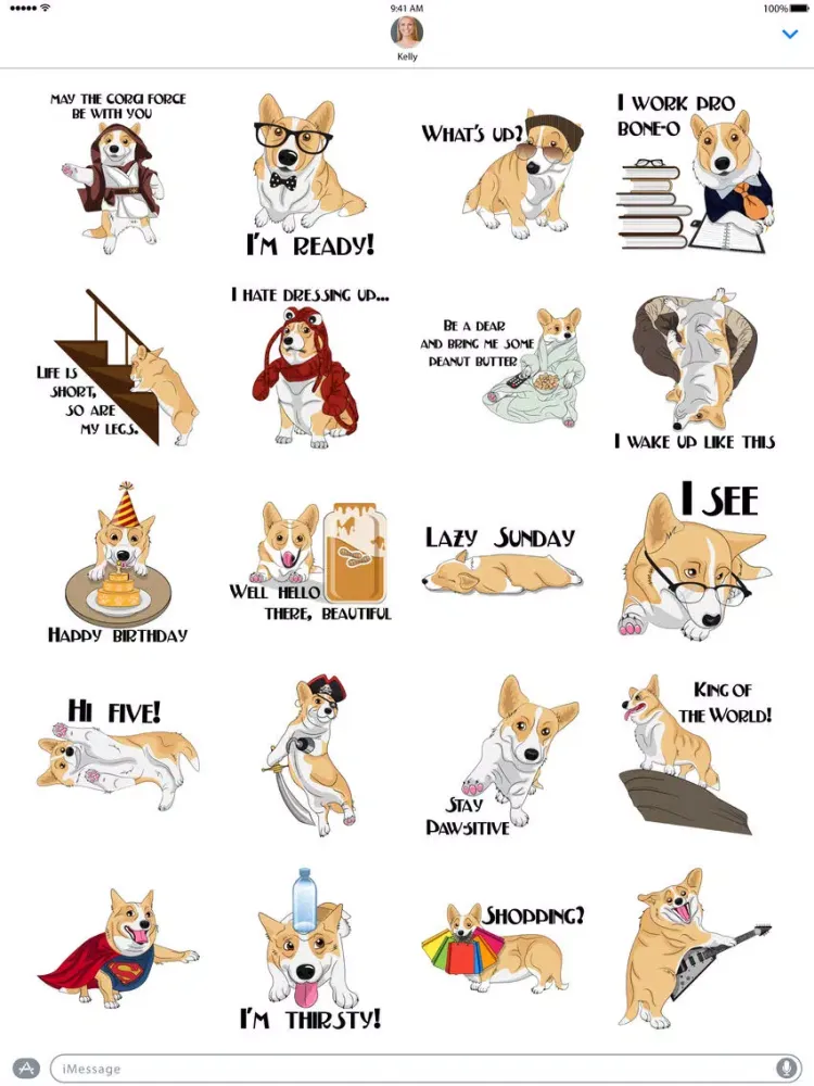 ภาพหน้าจอของ Corgi Style iPad 