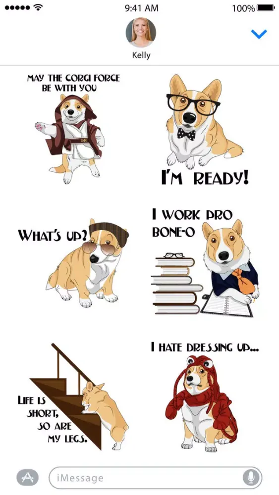 ภาพหน้าจอของ Corgi Style