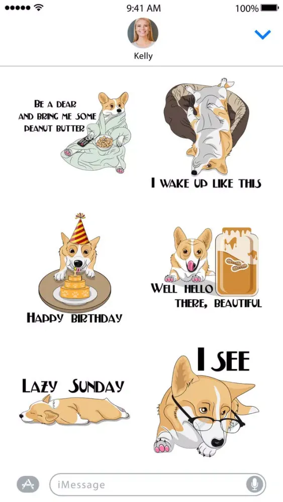 ภาพหน้าจอของ Corgi Style