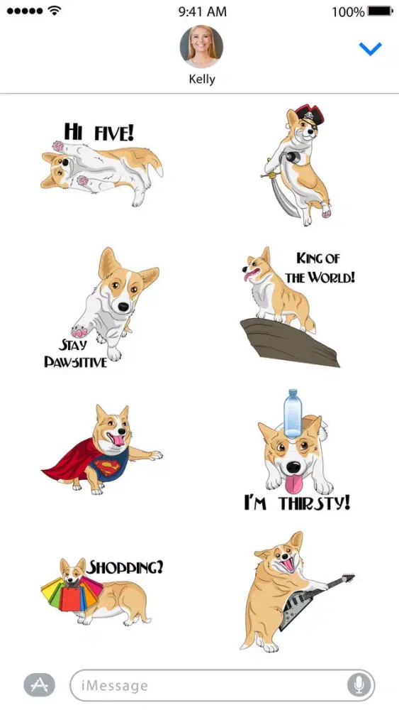 ภาพหน้าจอของ Corgi Style