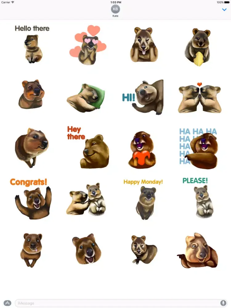 Quokka - The Happiest Animal in the World iPad  Screenshots