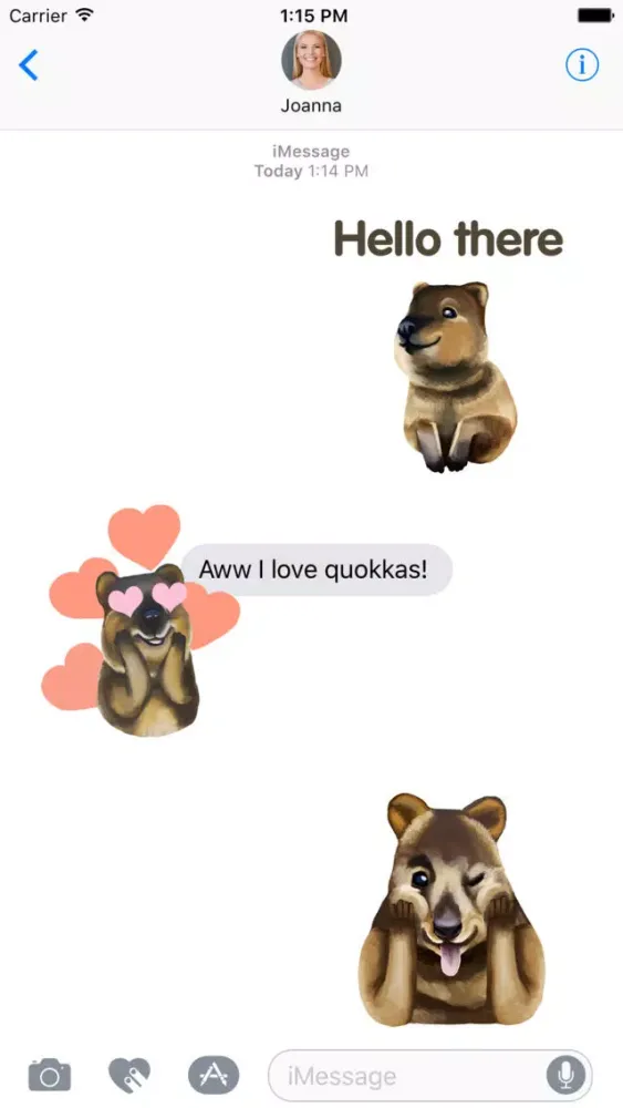 Quokka - The Happiest Animal in the World Screenshots