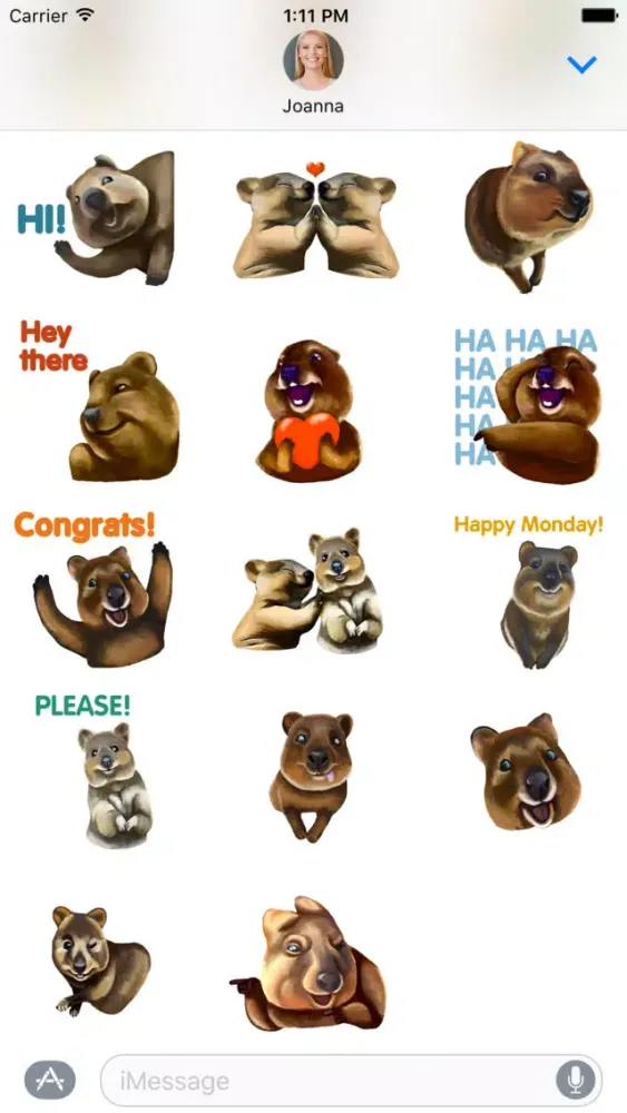 Quokka - The Happiest Animal in the World Screenshots