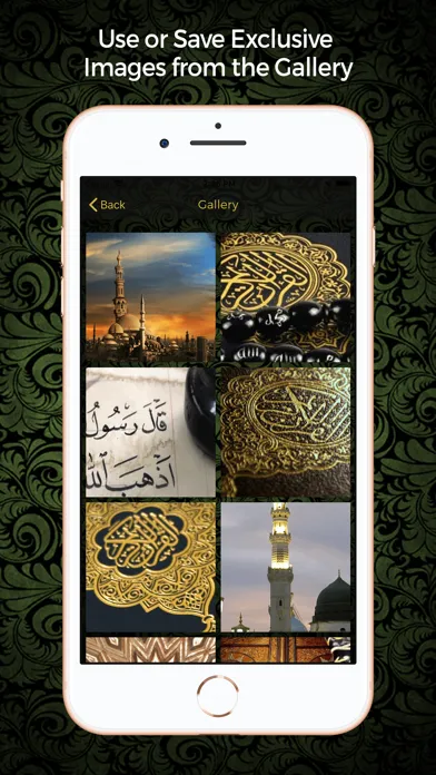 Prayer Times: Pro Athan Muslim应用截图