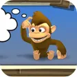 Island bully baboon Island bully baboon