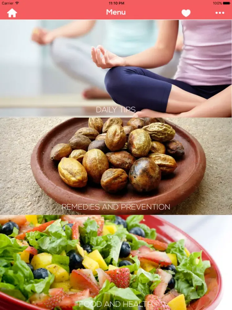 Zrzuty ekranu Ayurveda Remedies and Prevention iPad 