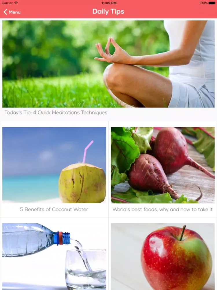 Zrzuty ekranu Ayurveda Remedies and Prevention iPad 