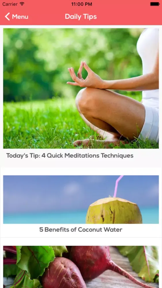 Zrzuty ekranu Ayurveda Remedies and Prevention