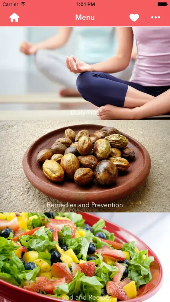 Zrzuty ekranu Ayurveda Remedies and Prevention
