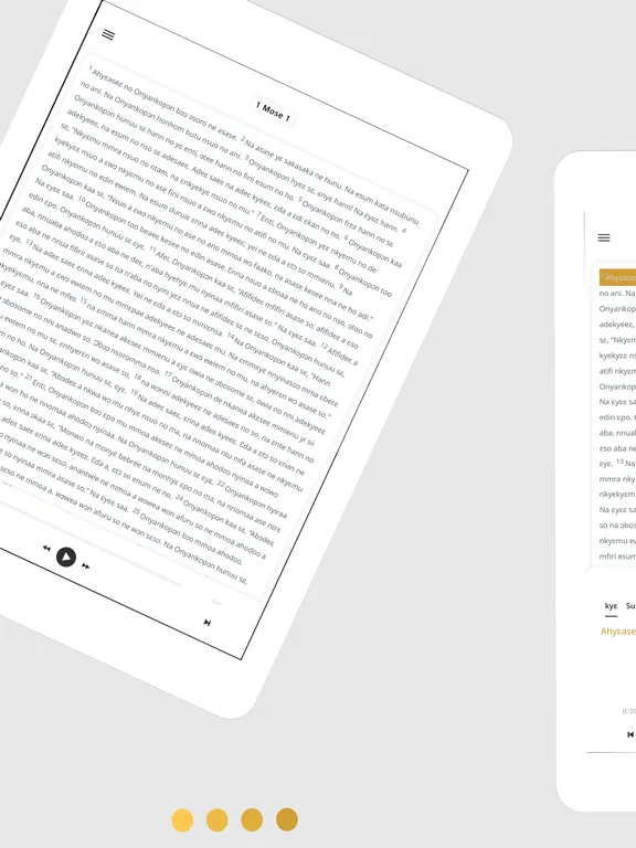 ภาพหน้าจอของ Twi Bible App iPad 