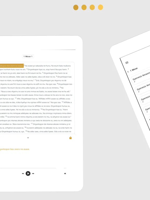 ภาพหน้าจอของ Twi Bible App iPad 
