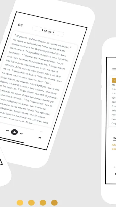 ภาพหน้าจอของ Twi Bible App