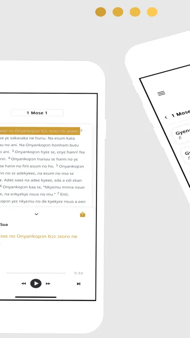 ภาพหน้าจอของ Twi Bible App