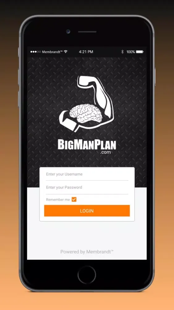Big Man Plan Screenshots