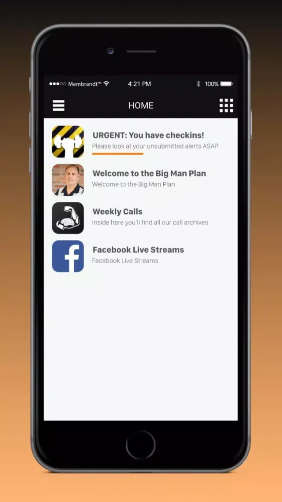Big Man Plan Screenshots