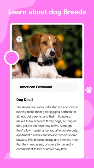 Dog scanner - Dog Breed ID स्क्रीनशॉट