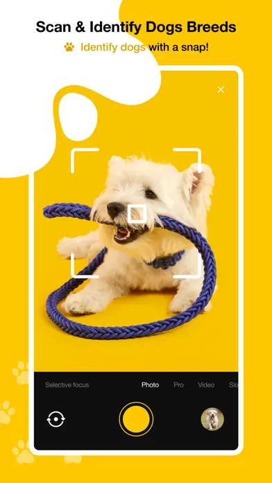 Dog scanner - Dog Breed ID स्क्रीनशॉट