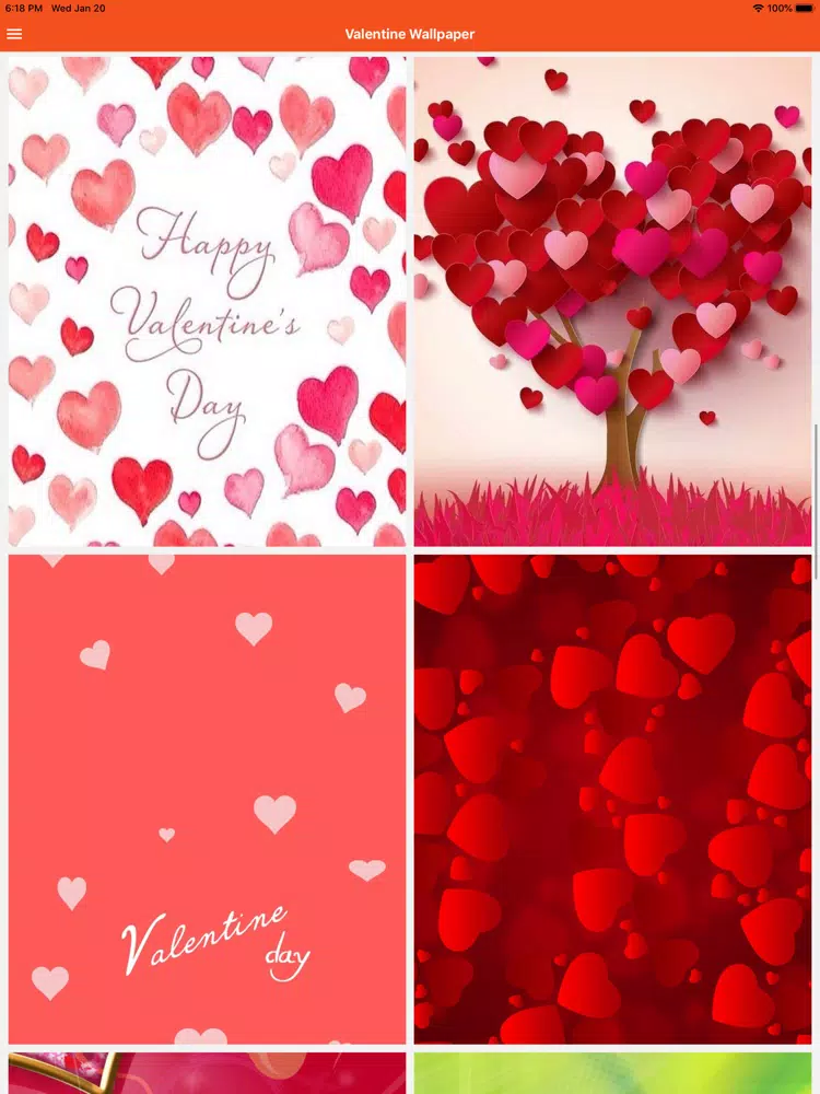 Ảnh chụp màn hình của Valentine Walls iPad 