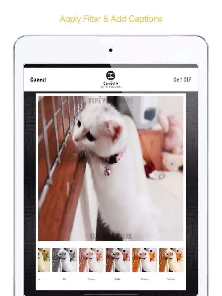 Tangkapan layar CamGify iPad 