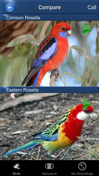 Capturas de pantalla de Bird Song Id Australia - Automatic Recognition
