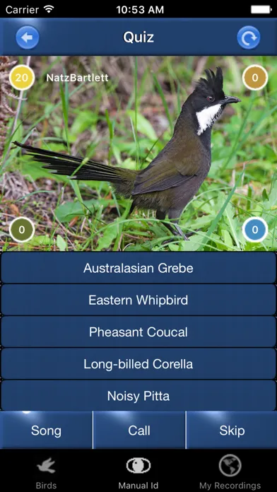 Capturas de pantalla de Bird Song Id Australia - Automatic Recognition