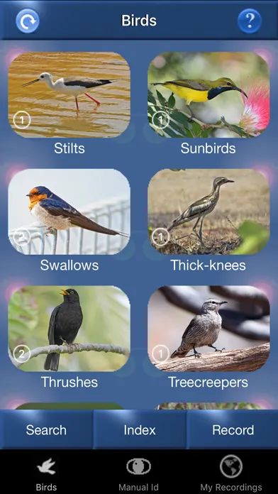 Capturas de pantalla de Bird Song Id Australia - Automatic Recognition