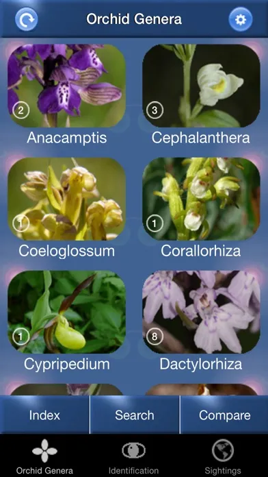 Capturas de pantalla de Orchid Id - British Orchids