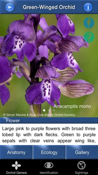 Capturas de pantalla de Orchid Id - British Orchids